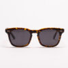 Nomade Turtle